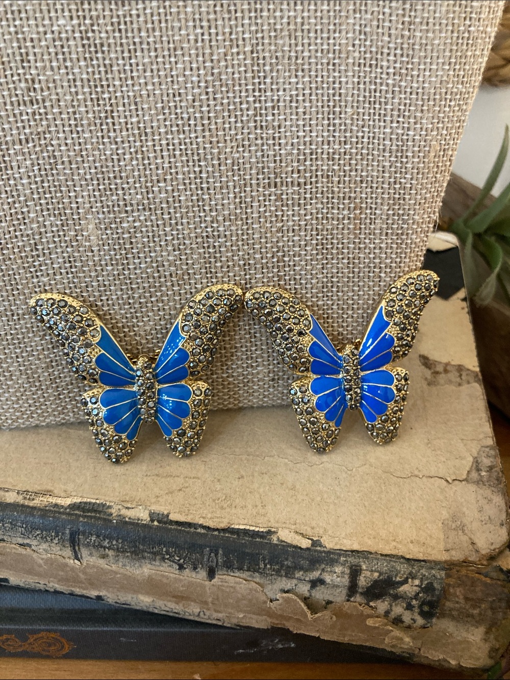 Butterfly Shoe charms | clips